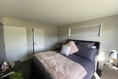 Photo of property in 45 Bonecrusher Street, Lincoln, 7608