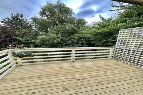 Photo of property in 35b Calder Avenue, North East Valley, Dunedin, 9010