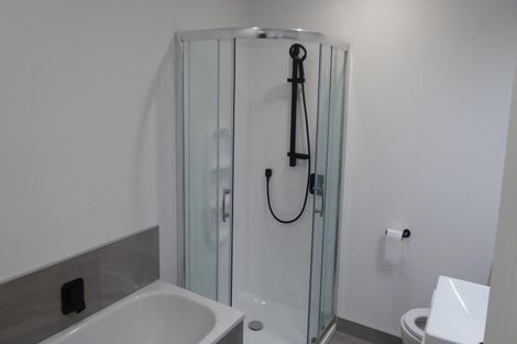 Photo of property in 4f Regent Street, Newtown, Wellington, 6021