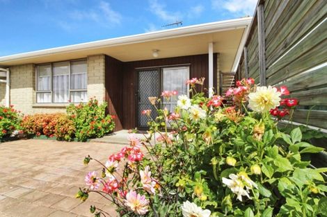 Photo of property in 1c Willis Street, Marton, 4710