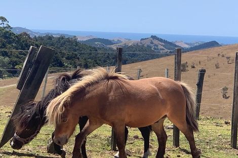 Photo of property in 133 Pukenui Road, Ngunguru, Whangarei, 0173