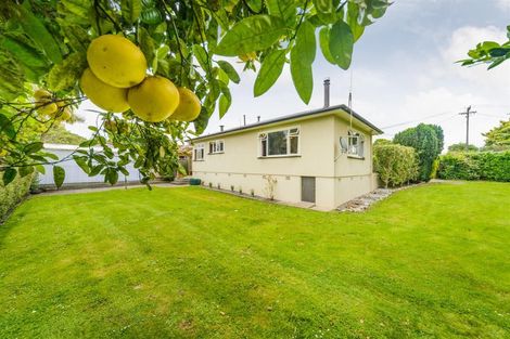 Photo of property in 15 Maunder Street, Marton, 4710