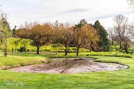 Photo of property in 16 Nikau Lane, Maungaturoto, 0520