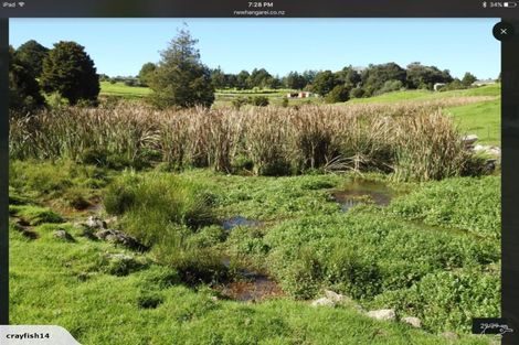 Photo of property in 543 Three Mile Bush Road, Te Kamo, Kamo, 0185