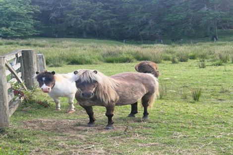 Photo of property in 637 Ormandy Road, Mangapai, 0178