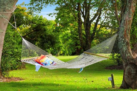 Photo of property in 52e Loop Road, Minden, Tauranga, 3176