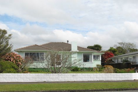 Photo of property in 31 Brecon Road, Stratford, 4332