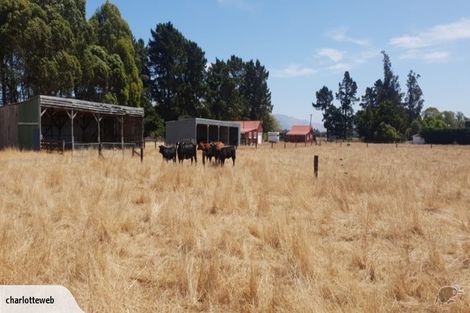 Photo of property in 139 Grays Road, Amberley, 7481