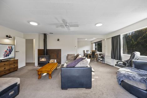 Photo of property in 8 Old Bridge Road, Bridge Hill, Alexandra, 9320