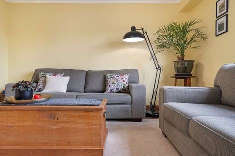 Photo of property in 145 Rimu Street, Maeroa, Hamilton, 3200