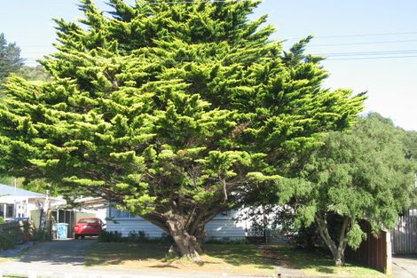 Photo of property in 678 Main Road North, Te Marua, Upper Hutt, 5018