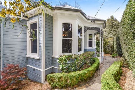 Photo of property in 45 Littlebourne Road, Roslyn, Dunedin, 9010