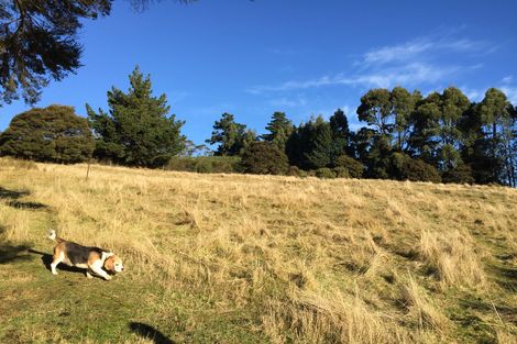 Photo of property in 261 Signal Hill Road, Opoho, Dunedin, 9010