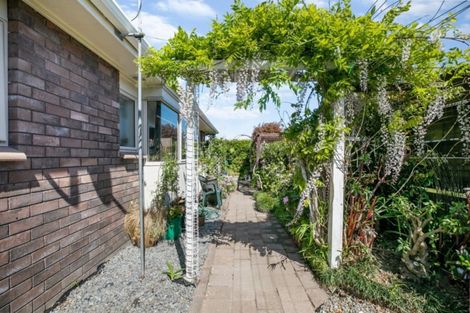 Photo of property in 13b Balmacewen Place, Mount Maunganui, 3116