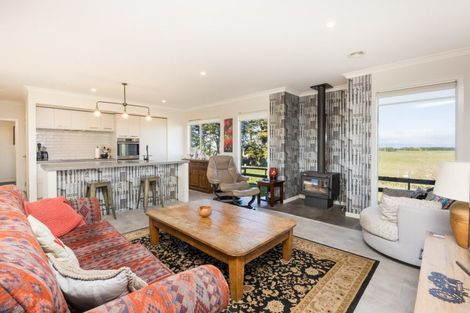Photo of property in 60 Beechwood Road, Feilding, 4779