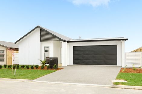 Photo of property in 58 Awataha Crescent, Pyes Pa, Tauranga, 3110