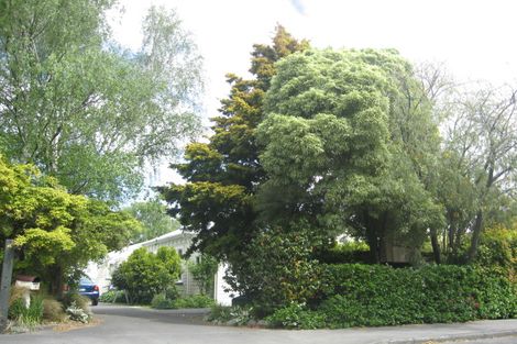 Photo of property in 13 Monro Street, Blenheim, 7201