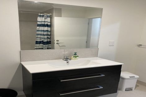 Photo of property in 64a Vogel Street, Roslyn, Palmerston North, 4414