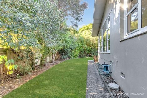 Photo of property in 1 Berkley Place, Awapuni, Palmerston North, 4412