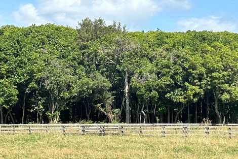 Photo of property in 43 School Road, Te Horo, Otaki, 5582