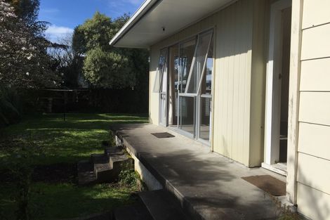 Photo of property in 60a Alison Street, Hamilton Lake, Hamilton, 3204