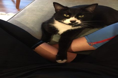 Photo of property in 12a Tyne Street, Island Bay, Wellington, 6023