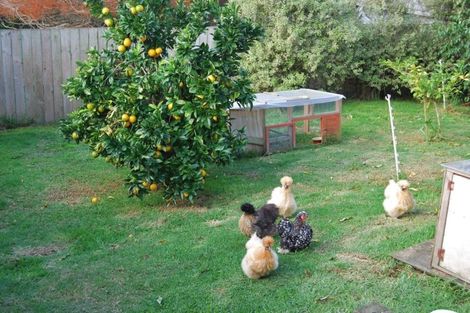 Photo of property in 51 Marshall Road, Kaiwaka, 0573