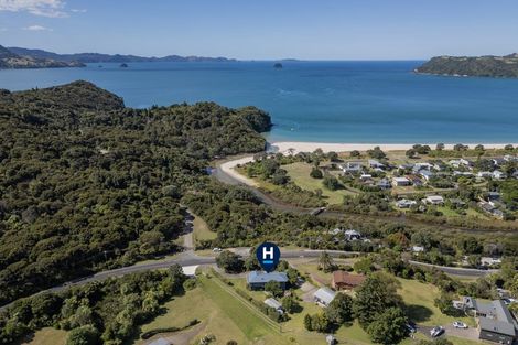 Photo of property in 981 Purangi Road, Cooks Beach, Whitianga, 3591