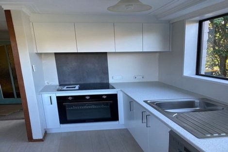 Photo of property in 36 Littlebourne Road, Roslyn, Dunedin, 9010