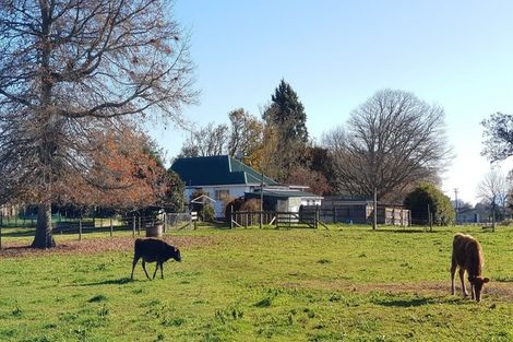 Photo of property in 117 Redoubt Road, Cambridge, 3495