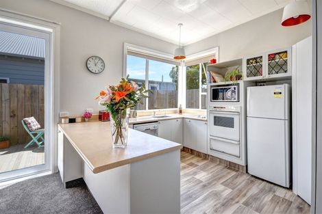 Photo of property in 15 West Avenue, Saint Clair, Dunedin, 9012