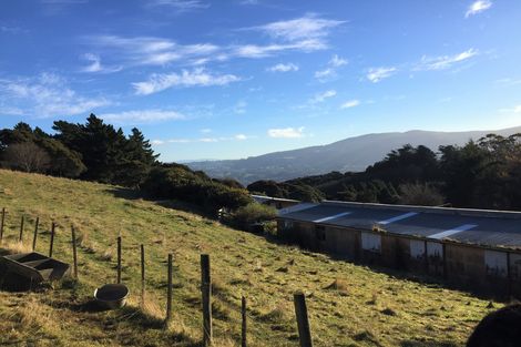 Photo of property in 261 Signal Hill Road, Opoho, Dunedin, 9010