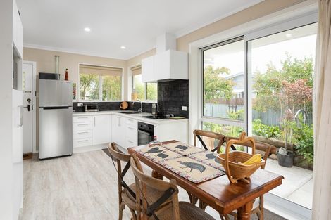 Photo of property in 16a Brian Bary Street, Redwoodtown, Blenheim, 7201