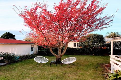 Photo of property in 7 Fourteenth Avenue, Tauranga South, Tauranga, 3112