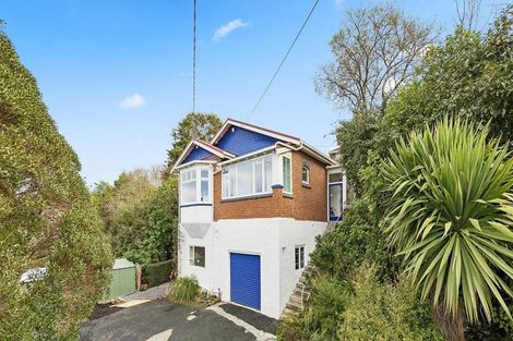 Photo of property in 47 Scarba Street, Roslyn, Dunedin, 9010