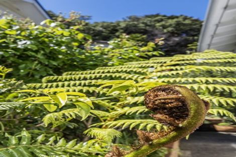 Photo of property in 48 Jackson Street, Island Bay, Wellington, 6023