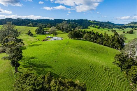 Photo of property in 1043 Whananaki Road North, Opuawhanga, Hikurangi, 0181