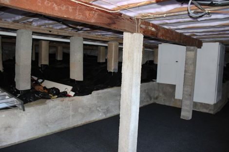 Photo of property in 7 Cohen Place, Wakari, Dunedin, 9010