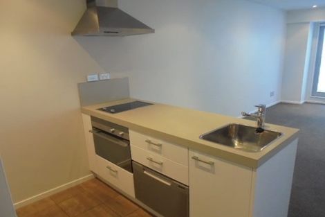 Photo of property in Soho Apartments, 416/74 Taranaki Street, Te Aro, Wellington, 6011