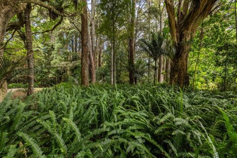 Photo of property in 1388 State Highway 1, Okaihau, 0476