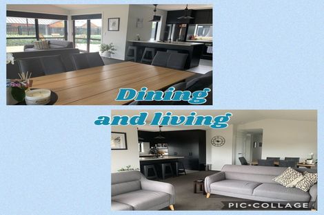 Photo of property in 24 Lulu Avenue, Chartwell, Hamilton, 3210