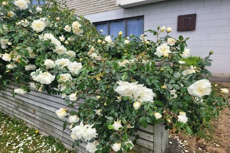 Photo of property in 17 Hakanoa Street, Huntly, 3700