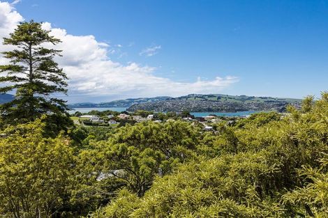 Photo of property in 116 Maryhill Terrace, Maryhill, Dunedin, 9011