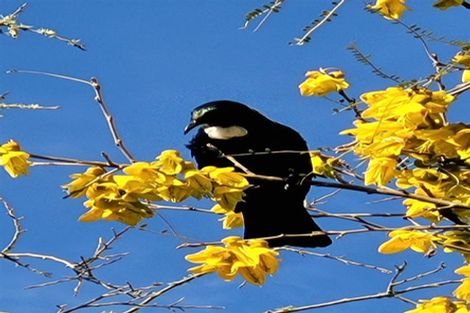 Photo of property in 376 Neudorf Road, Upper Moutere, 7175