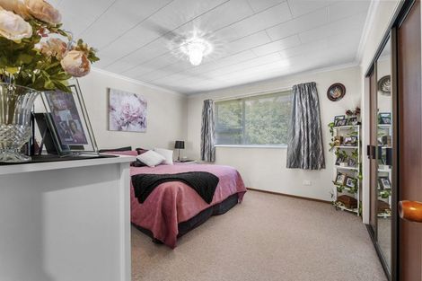 Photo of property in 17 Mace Street, Waitara, 4320