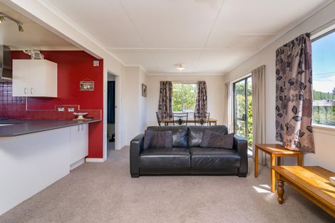 Photo of property in 255 Mackenzie Drive, Twizel, 7901