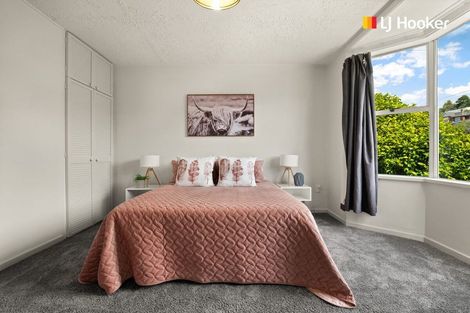 Photo of property in 119a Fitzroy Street, Forbury, Dunedin, 9012