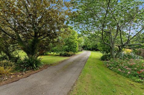 Photo of property in 366 Thornton Road, Thornton, Whakatane, 3194