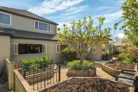 Photo of property in 7 Douglas Street, Lincoln, 7608