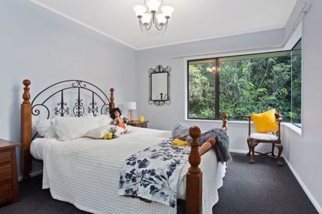 Photo of property in 56 Plummer Road, Whakamarama, Tauranga, 3179
